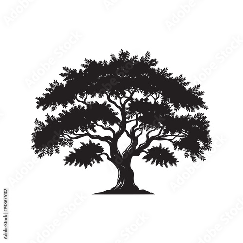 Sandalwood tree Black silhouette on a white background. Vector. Set.