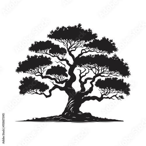 Sandalwood tree Black silhouette on a white background. Vector. Set.