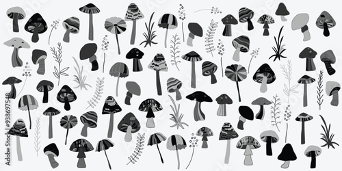 Illustration of mushroom vector elements isolated on white background 