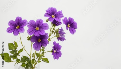  Vibrant purple flowers in a vase perfect for a fresh and lively atmosphere