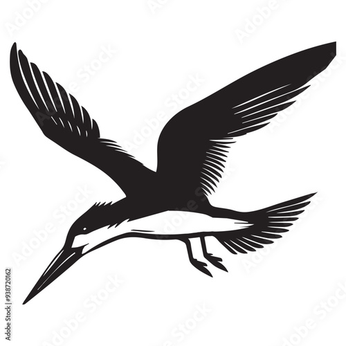 Black skimmer Silhouette, Rynchops Niger Bird Clipart, Black Skimmer diving beak closed Illustration in black and white