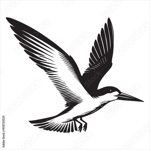 Black skimmer Silhouette, Rynchops Niger Bird Clipart,  Black Skimmer flying wings back Illustration in black and white