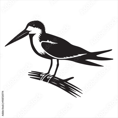 Black Skimmer Silhouette, Rynchops Niger Bird Clipart, Black Skimmer perched on branch Illustration in black and white