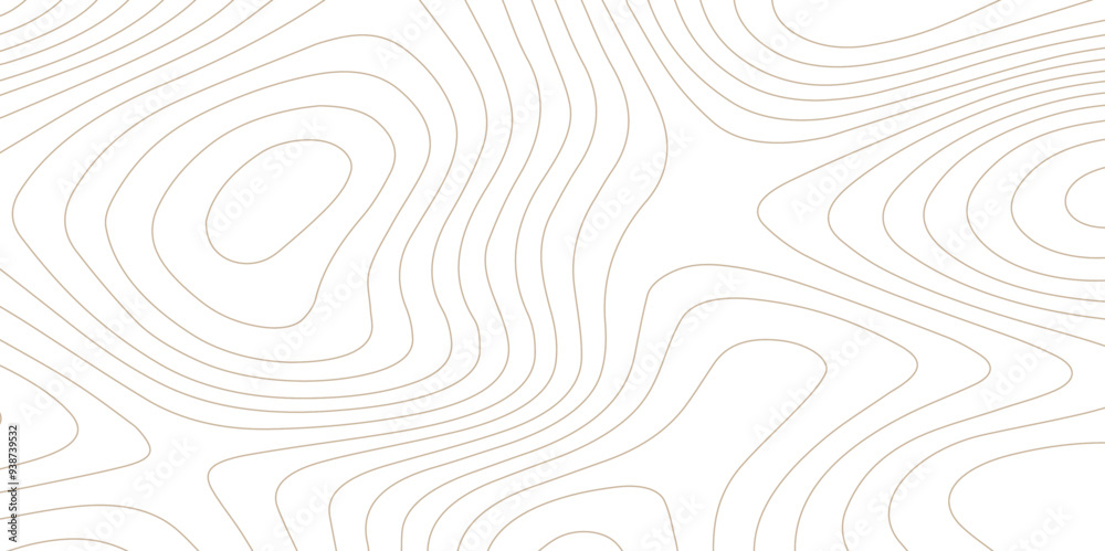 Abstract wave paper curved reliefs background .gradient multicolor wave curve lines banner background design .topographic contours map background .Vector geographic contour map. Abstract wave paper curved reliefs background .gradient multicolor wave curve lines banner background design .topographic contours map background .Vector geographic contour map.