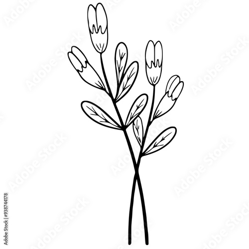 branch of magnolia