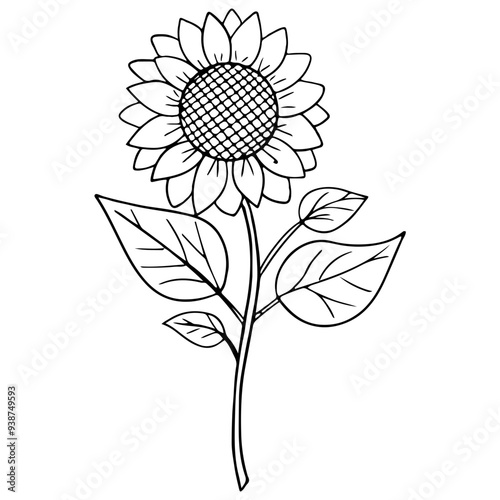 black and white flower