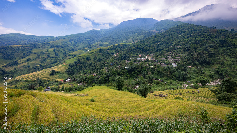 Obraz premium Landscape with green and yellow rice terraced fields and cloudy sky in North Vietnam