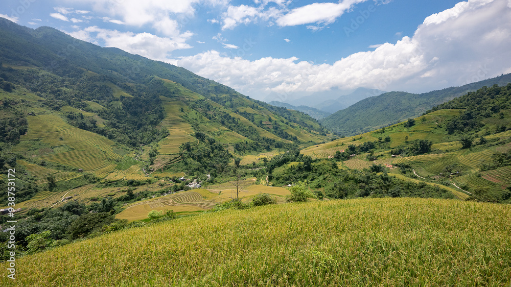 Landscape with green and yellow rice terraced fields and cloudy sky in North Vietnam Landscape with green and yellow rice terraced fields and cloudy sky in North Vietnam