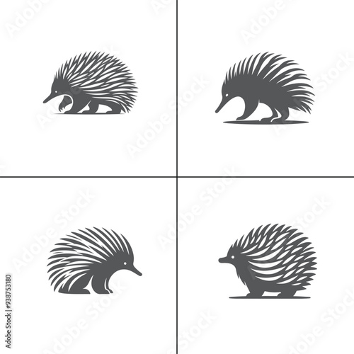 illustration of a Echidna on white