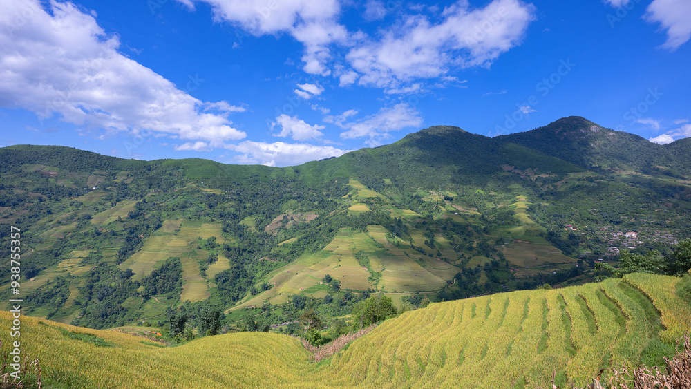 Landscape with green and yellow rice terraced fields and cloudy sky in North Vietnam Landscape with green and yellow rice terraced fields and cloudy sky in North Vietnam