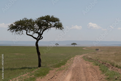 Africa, Kenya, Masai Mara National Reserve. 2016-08-04 photo