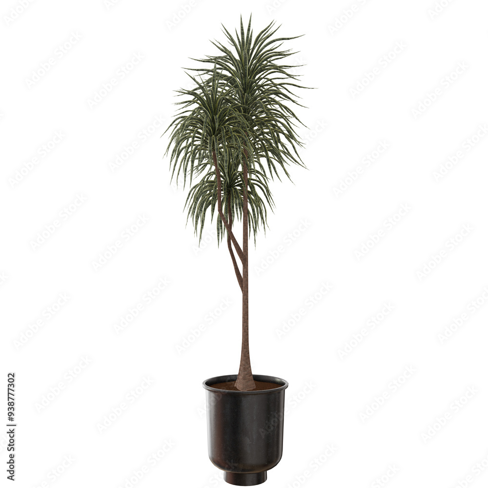 Obraz premium palm plant indoor