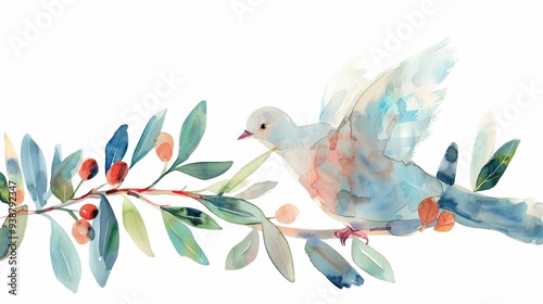 Dove and olive branch in delicate watercolor