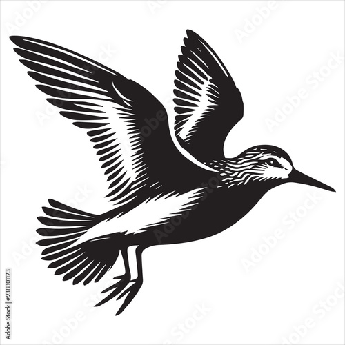 Western Sandpiper  Silhouette, Calidris mauri Clipart,  Western Sandpiper downstroke Illustration in black and white photo