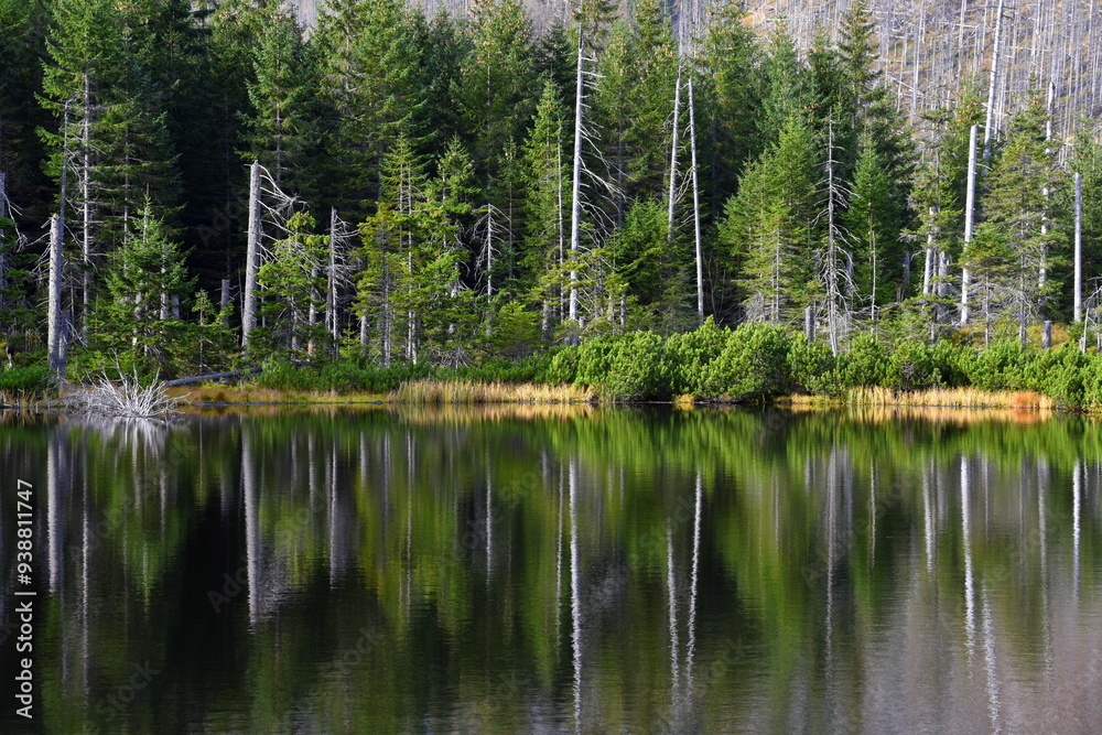 Smreczyński Staw – polodowcowe jezioro morenowe, Tatry Zachodnie, Tatrzański Park Narodowy, Kościelisko, Małopolska, Polska, Europa,
