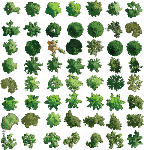 Top View of Colorful Trees on White Background - Vector EPS -04
