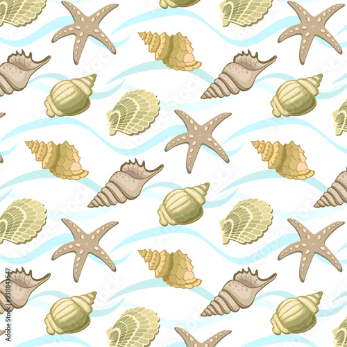Seashells in a vector pattern.Vector pattern with sea shells and clams on a transparent background.