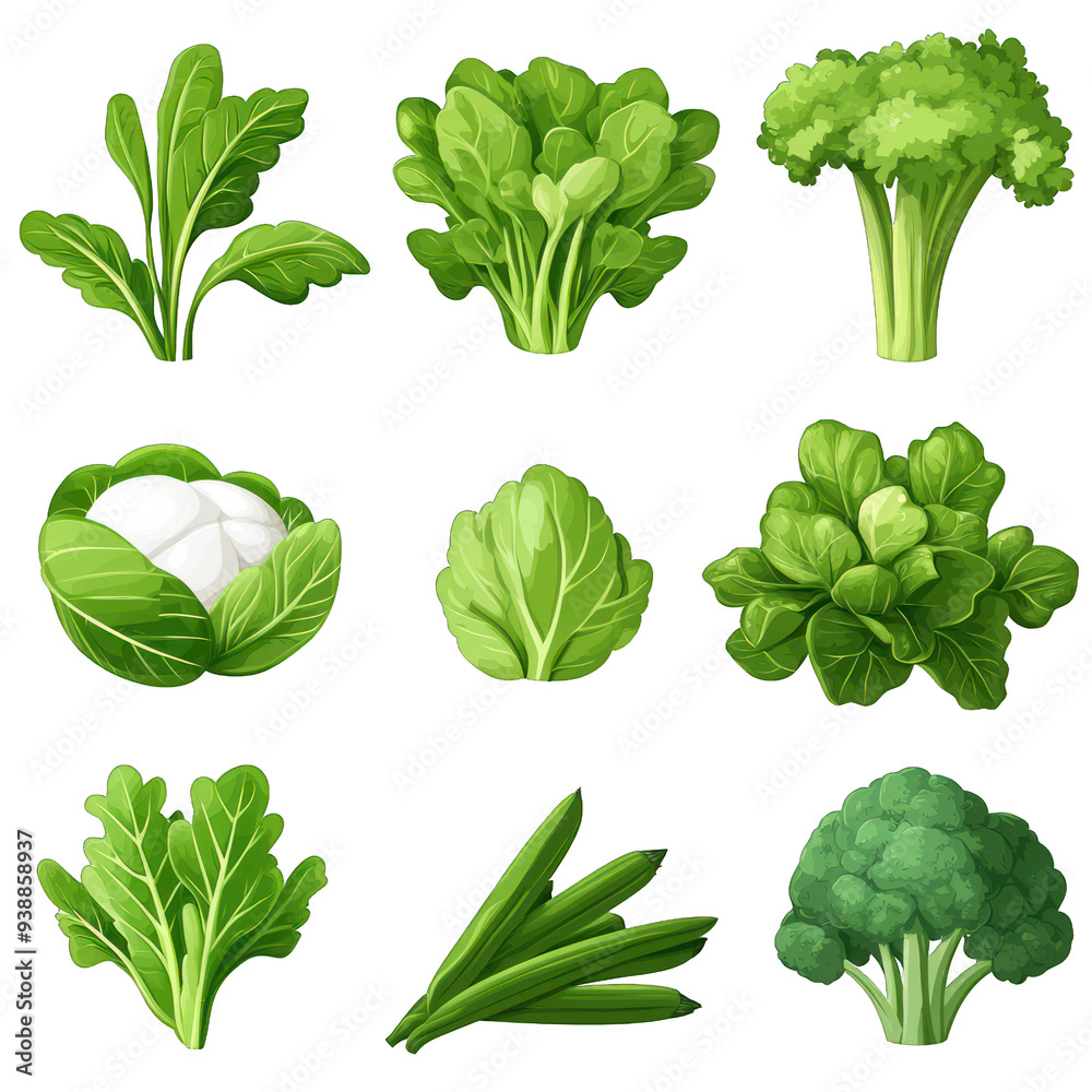 Colorful illustrations of various leafy green vegetables, including lettuce, spinach, broccoli, cabbage, and kale, ideal for healthy eating concepts. transparent background Colorful illustrations of various leafy green vegetables, including lettuce, spinach, broccoli, cabbage, and kale, ideal for healthy eating concepts. transparent background