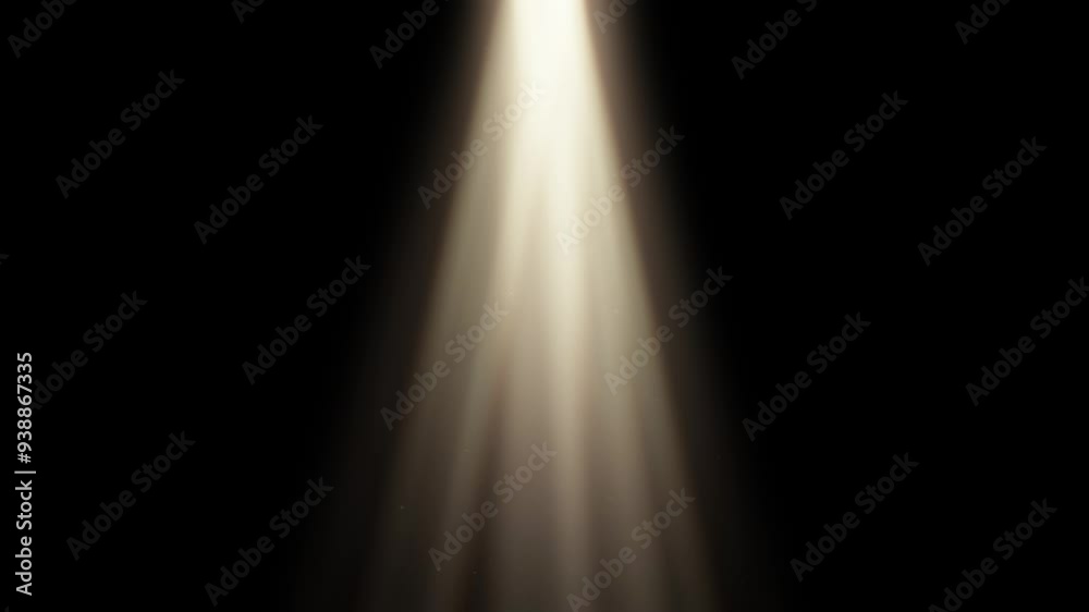 Spotlight