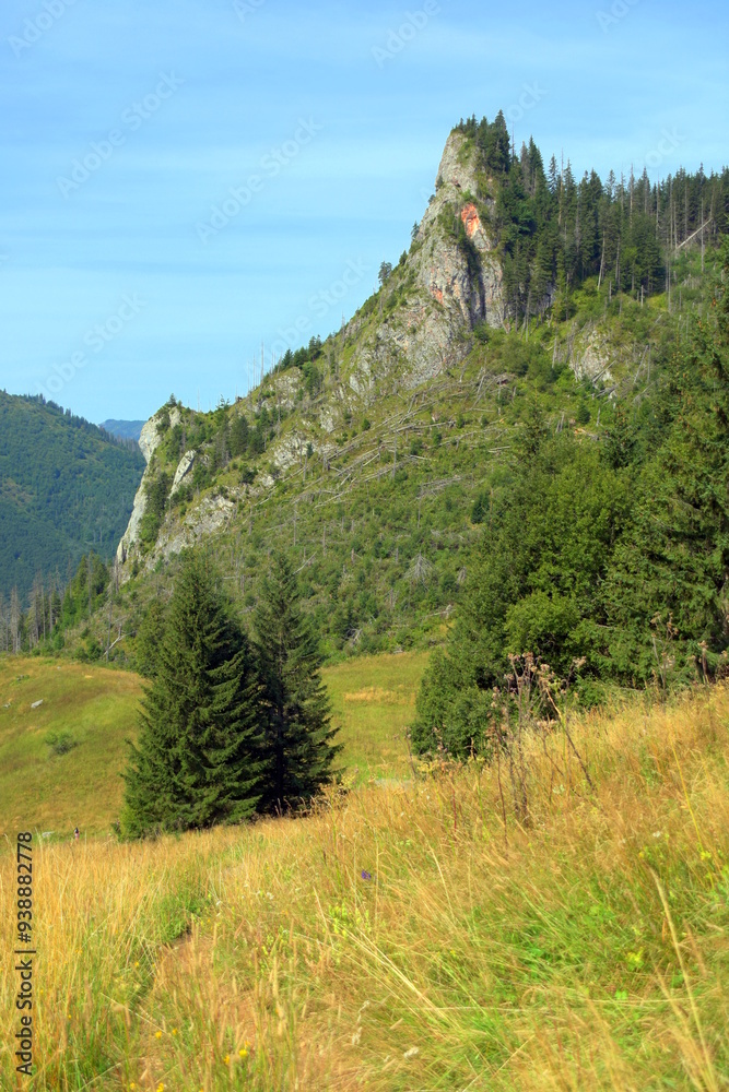Zawiesista Eljaszowa Turnia, szczyt, Miętusia Polana, Tatry Zachodnie, Tatrzański Park Narodowy, Kościelisko, Małopolska, Polska, Europa,