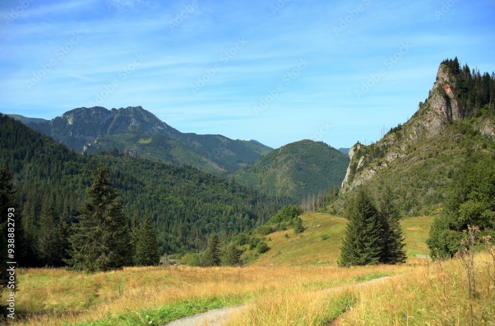 Zawiesista Eljaszowa Turnia, szczyt, Miętusia Polana, Tatry Zachodnie, Tatrzański Park Narodowy, Kościelisko, Małopolska, Polska, Europa,
