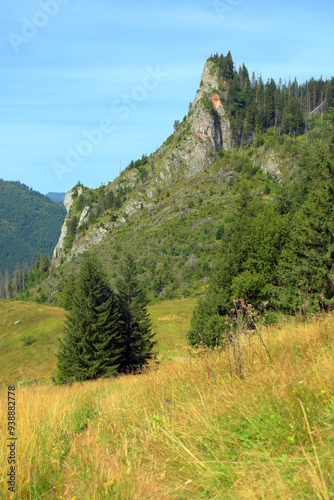 Obraz na płótnie Zawiesista Eljaszowa Turnia, szczyt, Miętusia Polana, Tatry Zachodnie, Tatrzański Park Narodowy, Kościelisko, Małopolska, Polska, Europa, w salonie