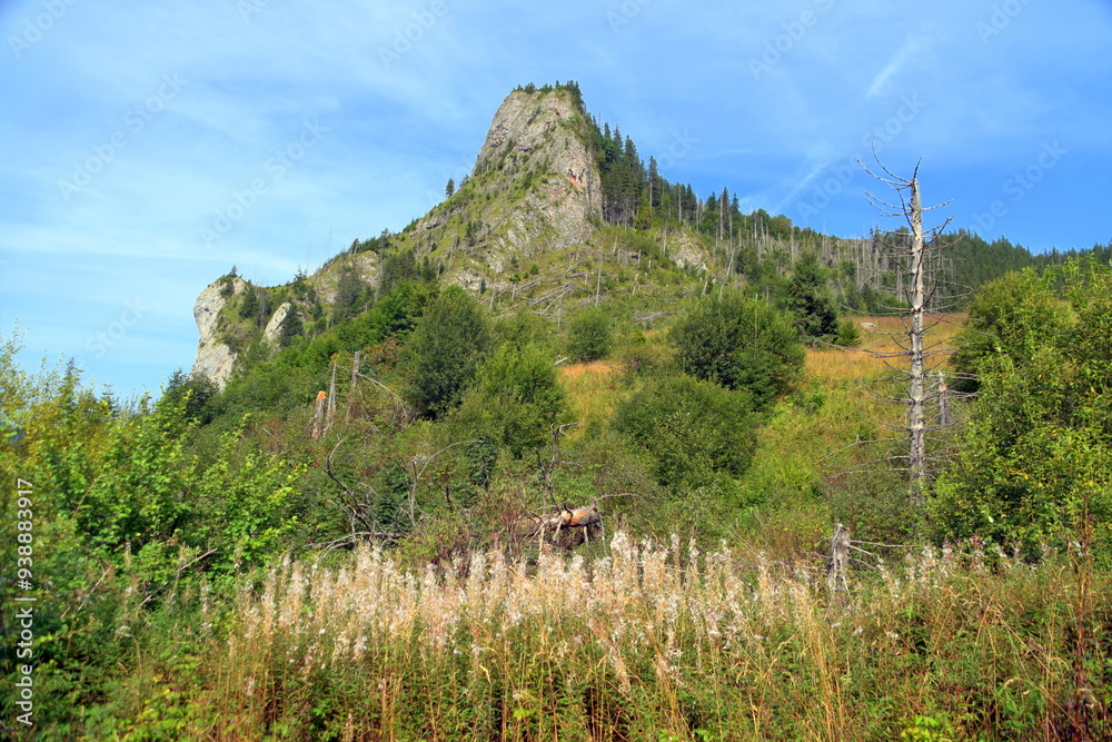 Zawiesista Eljaszowa Turnia, szczyt, Miętusia Polana, Tatry Zachodnie, Tatrzański Park Narodowy, Kościelisko, Małopolska, Polska, Europa,
