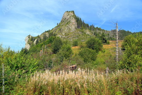 Obraz na płótnie Zawiesista Eljaszowa Turnia, szczyt, Miętusia Polana, Tatry Zachodnie, Tatrzański Park Narodowy, Kościelisko, Małopolska, Polska, Europa, w salonie
