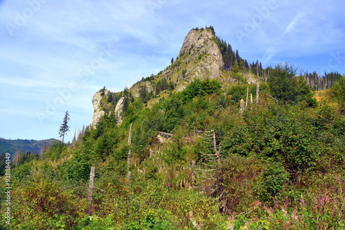 Obraz na płótnie Zawiesista Eljaszowa Turnia, szczyt, Miętusia Polana, Tatry Zachodnie, Tatrzański Park Narodowy, Kościelisko, Małopolska, Polska, Europa, w salonie