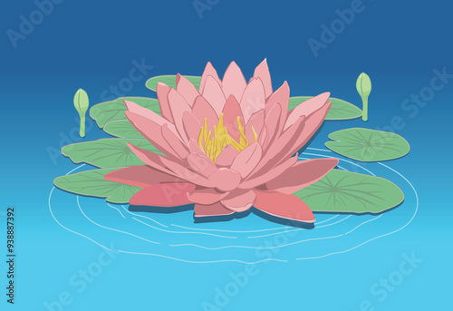 ピンク色のスイレンにイラスト