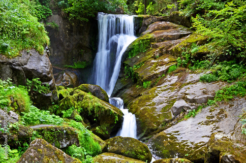 Wandern im Schwarzwald photo