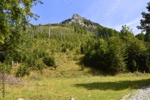 Obraz na płótnie Kończysta Turnia, szczyt, Tatry Zachodnie, Tatrzański Park Narodowy, Kościelisko, Małopolska, Polska, Europa, w salonie