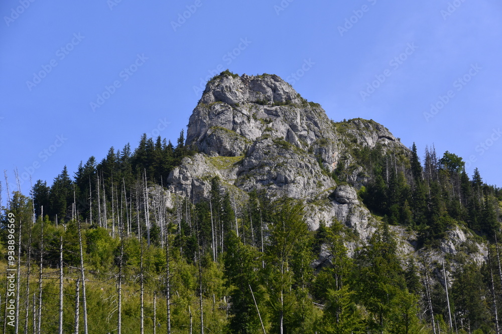 Kończysta Turnia, szczyt, Tatry Zachodnie, Tatrzański Park Narodowy, Kościelisko, Małopolska, Polska, Europa,