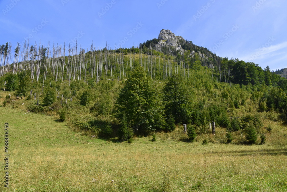 Kończysta Turnia, szczyt, Tatry Zachodnie, Tatrzański Park Narodowy, Kościelisko, Małopolska, Polska, Europa,