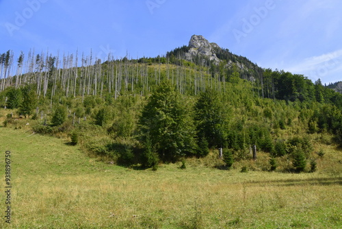 Obraz na płótnie Kończysta Turnia, szczyt, Tatry Zachodnie, Tatrzański Park Narodowy, Kościelisko, Małopolska, Polska, Europa, w salonie