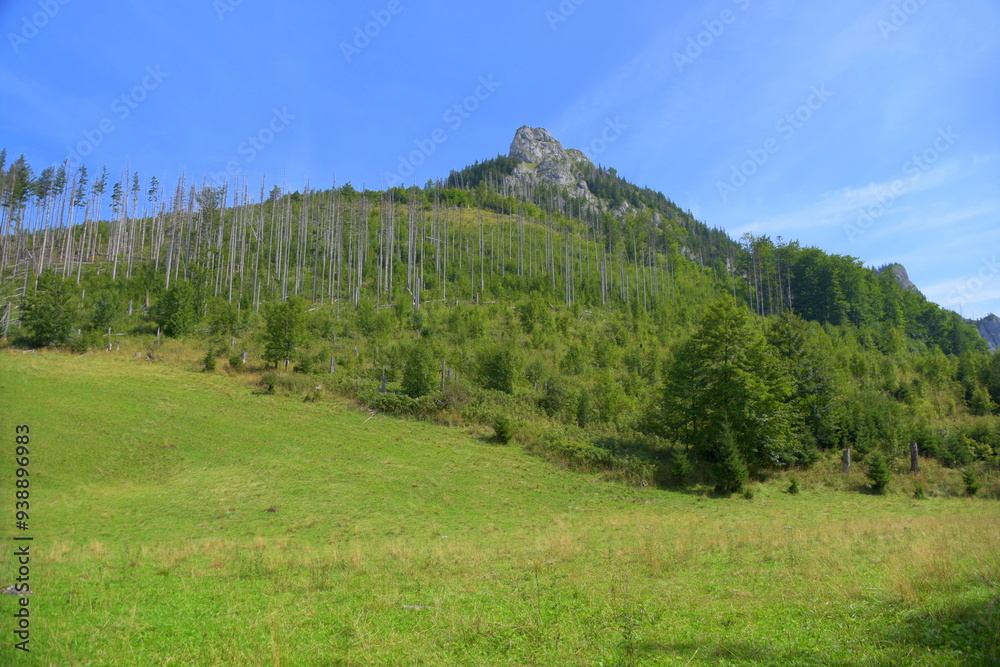 Kończysta Turnia, szczyt, Tatry Zachodnie, Tatrzański Park Narodowy, Kościelisko, Małopolska, Polska, Europa,