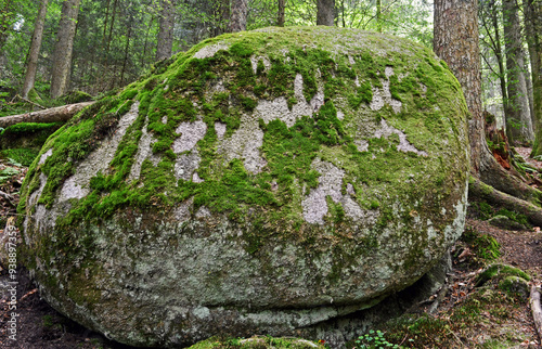 Wandern im Schwarzwald photo