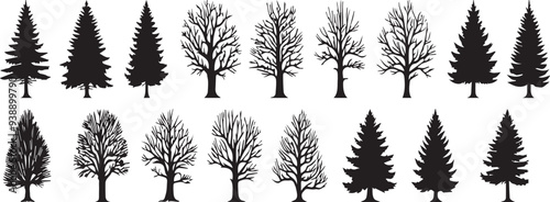 tree silhouettes on a white background. Vector illustration