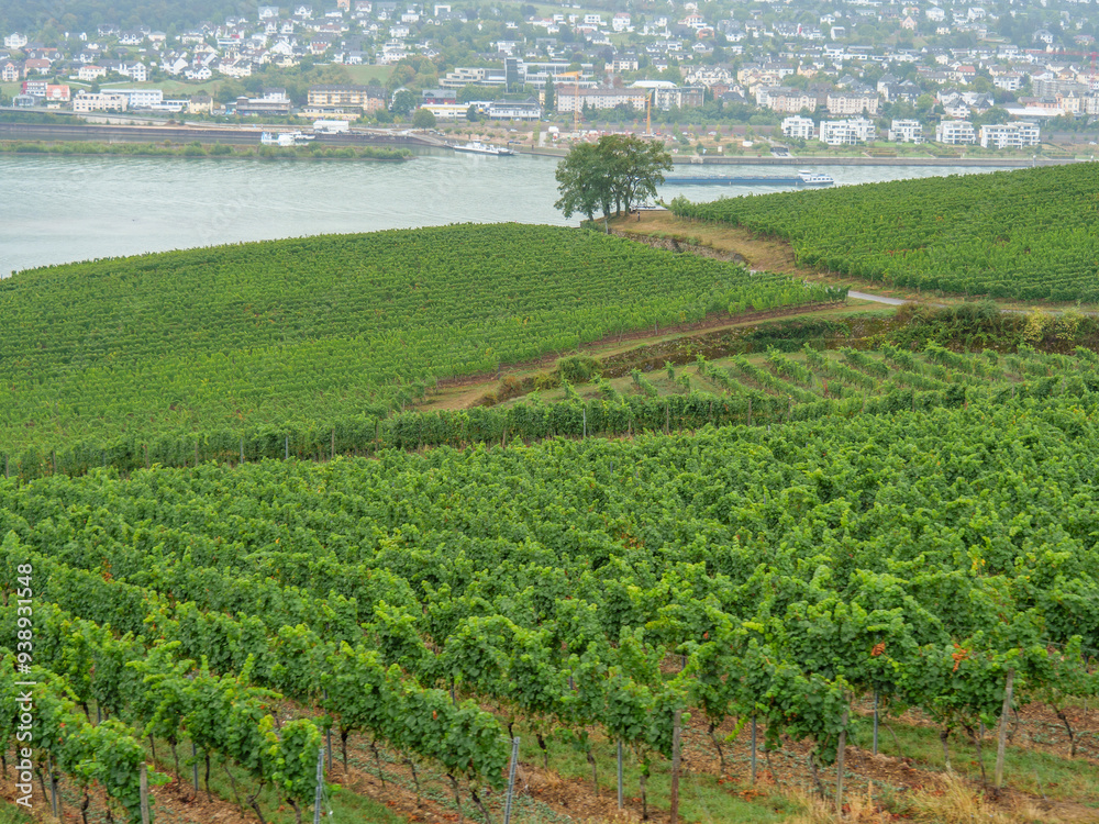 Der Rhein bei Bingen Der Rhein bei Bingen