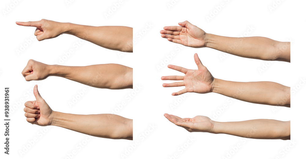 Set of hand gestures isolated over the white background. Clipping Path Set of hand gestures isolated over the white background. Clipping Path