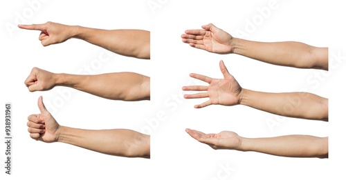 Set of hand gestures isolated over the white background. Clipping Path