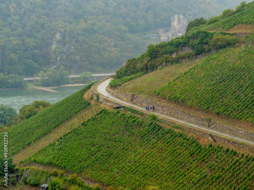 Der Rhein bei Bingen photo