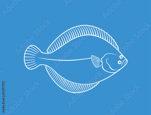 Olive flounder outline. Isolated flounder on white background