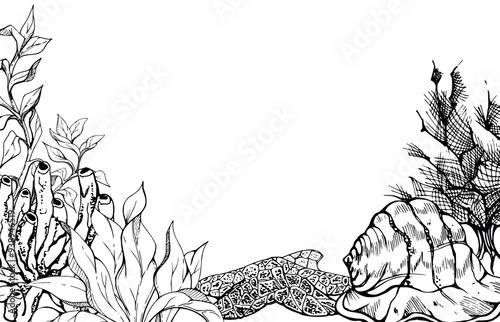 Marine life, sea ocean underwater creatures fish, shells algae seaweed, Ink and pen sketch hand drawn. Border frame illustration, stylized, isolated on white. For zoo shop, aquarium, cosmetics, resort