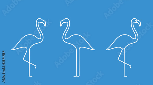Flamingo outline. Isolated flamingo on white background