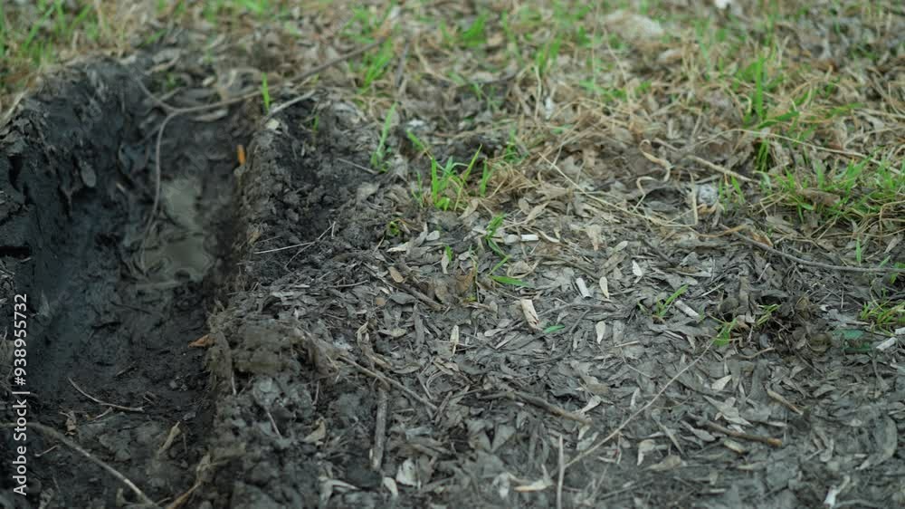 Camera moving away from a shallow trench filled with rainwater on a muddy, leaf-covered ground, with wet soil, decaying leaves, and small patches of green grass Camera moving away from a shallow trench filled with rainwater on a muddy, leaf-covered ground, with wet soil, decaying leaves, and small patches of green grass