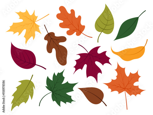 Autumn leaves. A set of different leaves of maple, oak and other trees. Autumn decoration in flat style. Yellow, red, orange fall leaf for pattern, banner, sticker. Hello autumn.