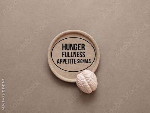brain and round wooden with the words Hunger, Fullness and Appetite Signals. brain fullness concept