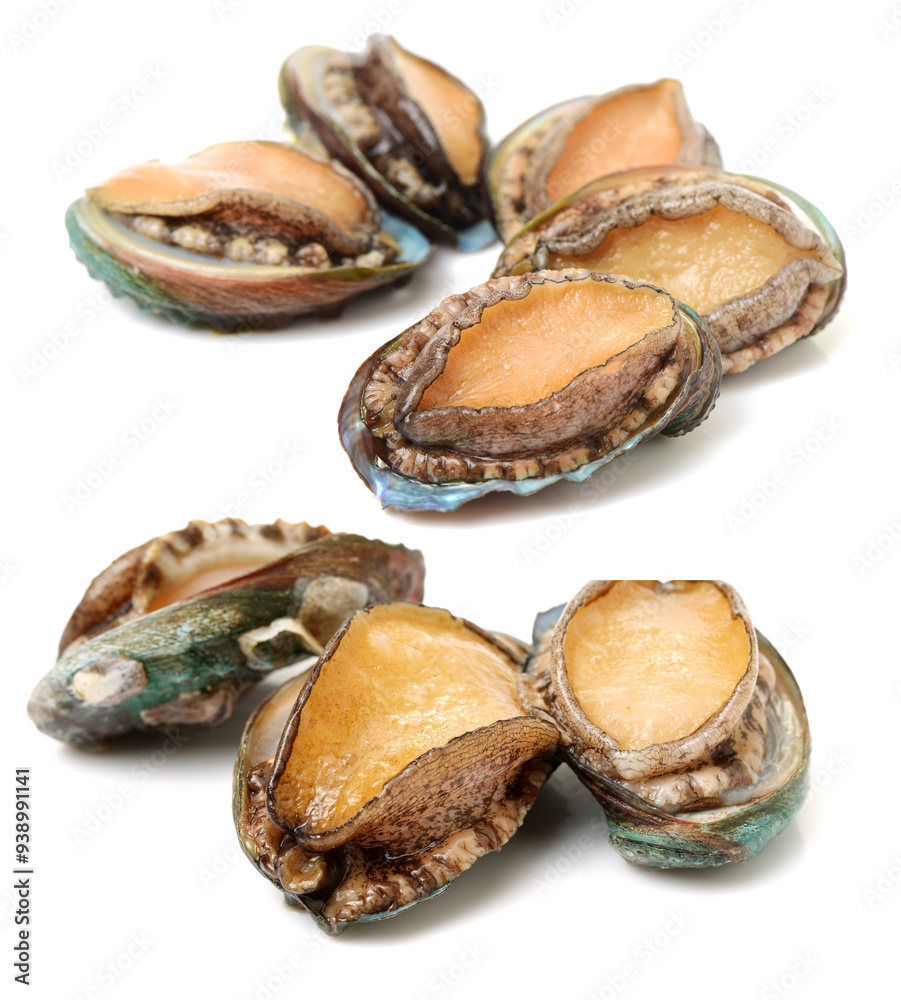 Raw abalones on the white background Raw abalones on the white background