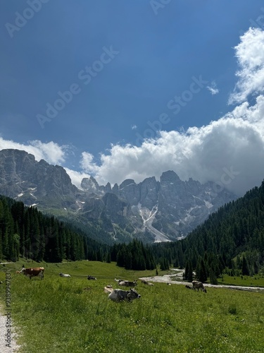 South Tirol Mountains and Nature